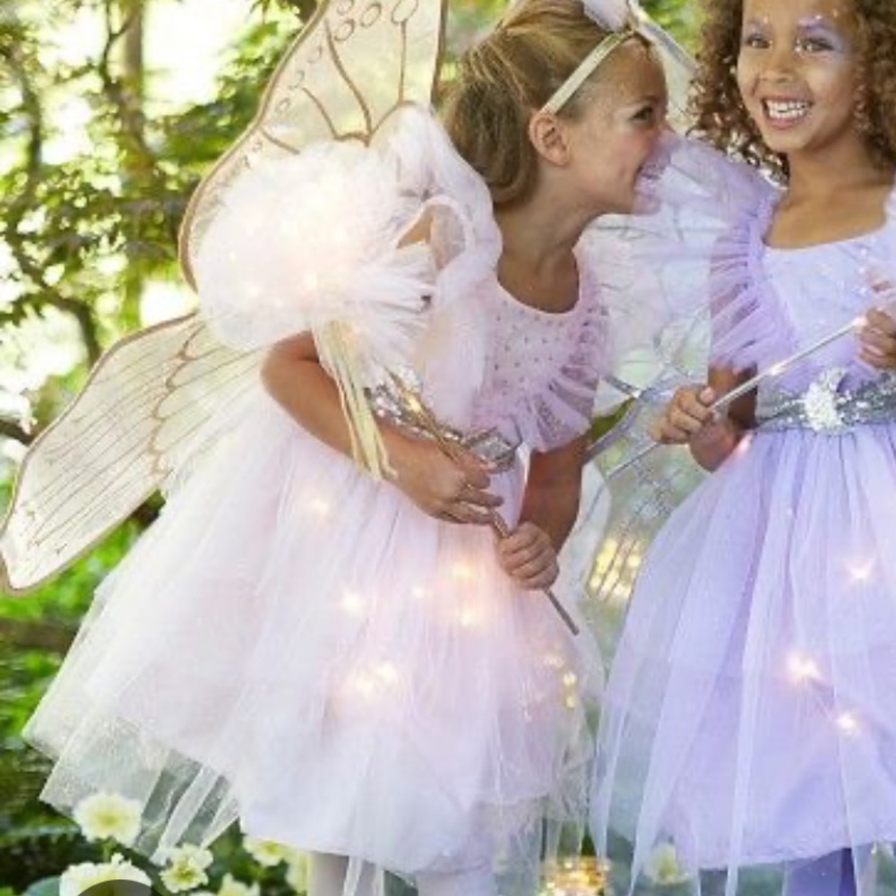 Pottery barn kids fairy costume